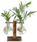 Desktop Glass Planter Bulb Vase with Vintage Wooden Stand Hydroponic Plant Vases Vintage Water Planting Glass Vase for Home Office Garden Wedding Décor (Style B)