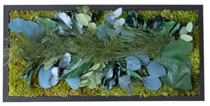 Myvegetal HM tableau végétal stabilisés eucalyptus sans entretiens - tableau de plantes et décoration murale d'intérieur, plantes et fleurs éternel made in France