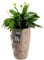 KADAX Pot de Fleurs Haut, Jardinière en Plastique de Grande Taille avec Motif Moderne pour Sublimer Votre Intérieur ou Extérieur, Bac à Fleur (Beige, 48.5 cm)