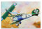 BPQN Poster, Motiv: Jasta 5 Albatros DVa Richard Flashar, Motiv: Kampfflugzeug aus dem Ersten Weltkrieg, 40 x 60 cm