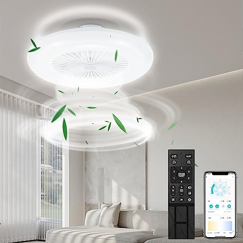 Daromigo Ventilador de techo con iluminación y control remoto, wifi, diámetro de 55 cm, 6 velocidades, regulable, temporizador, modo verano-invierno para dormitorio y sala de estar