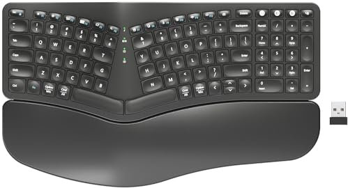 ROCK&ROWN Clavier ergonomique sans fil avec repose-poignet rembourré, Bluetooth et USB 2,4 G sans fil, rechargeable pour Windows Mac