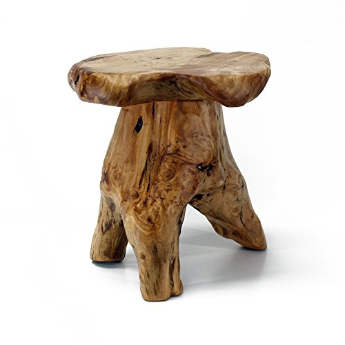 WELLAND Taburete de árbol con borde vivo, mesa auxiliar de borde natural, soporte para plantas, mesita de noche, taburete de hongo de 14 pulgadas de alto