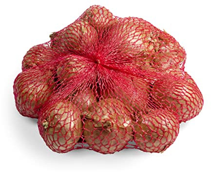 Steckzwiebeln in verschieden Sorten - Allium cepa (Pflanzschalotten Red Sun)