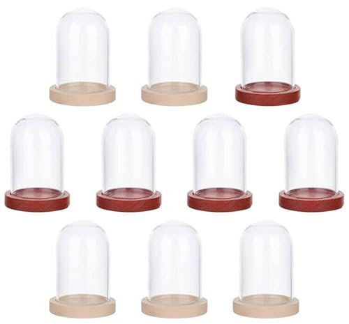 NBEADS 10 Ensembles Mini Cloche de Dôme en Verre de Fleur Éternelle, Vitrine en Verre Transparent avec 2 cloche en Bois de Couleur Cloche pour Table Plantes Roches Spécimens Décorations, 3.9x2.5 cm