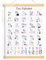 ABC Poster für Kinder 30x40 cm Lernposter Schreiben Lernen Alphabet Zahlen Poster Buchstaben Grundschrift Geschenk zur Wanddeko Kinderzimmer für Einschulung Kindergarten Grundschule Vorschule