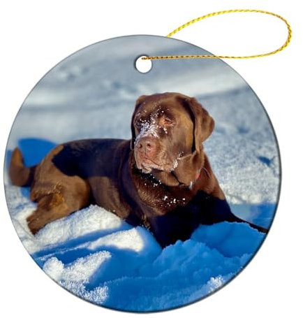 Christbaum Schmuck, Hund Labrador Liegend Snow Winter Christbaum Hängeornamente Mit Seil Weihnachtsanhänger Weihnachts Ornamente Für Deko Weihnachtsbäume