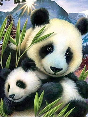 Zeyevan DIY Diamond Painting Panda, 5D Broderie Diamant Painting Kit Complet Panda Point Point De Croix Strass Broderie Craft Pour Home Office Décoration Murale 30x40 cm