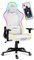 huzaro Force 6.2 RVB | Eclairage LED | Chaise Bureau Gaming | Tissu Carbone | Jusqu'à 130 kg | Réglable en Hauteur | Appuie tête | Design Ergonomique | Blanc