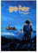 Displate Offiziell Harry Potter MetallPoster Magnetische Befestigung Inklusive Lizenziert Bilder Hochwertiges Poster Sorcerer's Stone Movie Posters - Harry and Hagrid ENG 45 cm x 32 cm