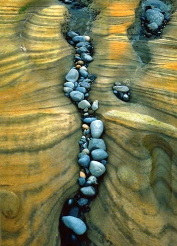 Tushita Postkarte Seal Rock Beach, Oregon, USA