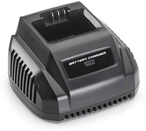 Alpina 273002000/20 Chargeur 40 V, Noir, 18 x 18 x 11.5