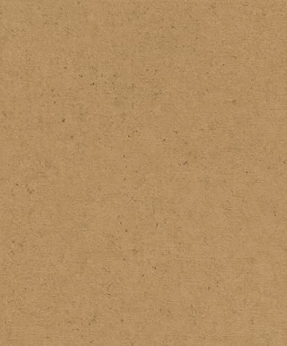 Rasch Tapeten Vliestapete (universell) Braun 10,05 m x 0,53 m Concrete 520897