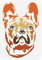 FINGERINSPIRE Französische Bulldoggen Schablone 21x29.7 cm Wiederverwendbare Bulldoggenkopf Muster Zeichnungsvorlage Kunst Haustier Hund Dekor Schablone Tierschablone Zum Malen Auf Holz Mauer Möbel