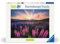 Ravensburger 12000688 - Niagara Falls - 1000 pieces jigsaw puzzle – Puzzle for adults and kids age 14 years up, flower jigsaw