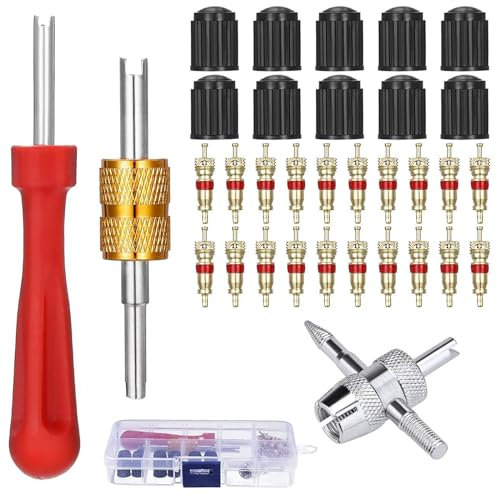 tallkeey Reifenventilentferner Ventil Reparatur mit Doppel und Einzelkopf Ventilkern, Ventilschlüssel Autoventil Werkzeugkasten Ventilkern Entferner für Auto Motorrad Fahrrad