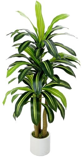 Artificial Dracaena Tree, 150 cm Tall, Decorative White Pot