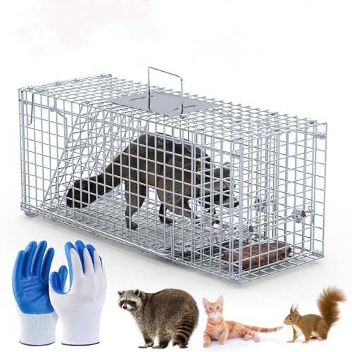 Live Humane Animal Trap Cage Cat Trap Folding Catch and Release Cage