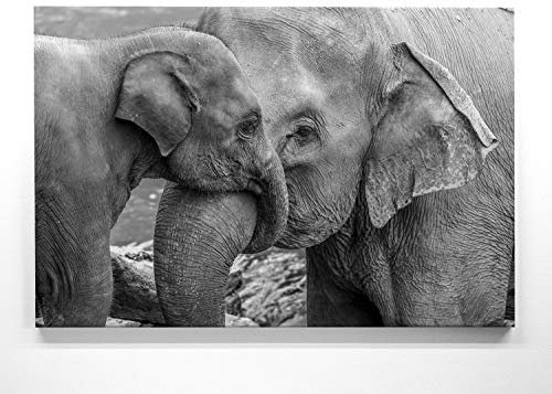 Atemberaubendes Bild Elefanten Baby mit Mutter schwarz weiß - als 100x75cm großes XXL Leinwandbild. Wandbild als Hintergrund und Deko für Wohnzimmer. Fertig aufgespannt auf 4cm Holz-Keilrahmen