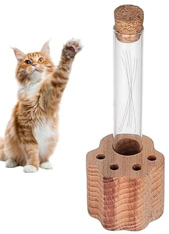 Collecteur De De Chat Verre Transparent Souvenir De Sympathie pour La Perte