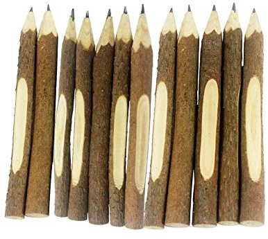 SKKSTATIONERY 12 Pcs Natural Wooden Pencils Wood Tree Branch