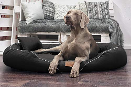 tierlando® Orthopädisches Hundebett Tiffany Couture XL XXL Elegantes Hundesofa für große Hunde, Waschbarer Bezug und Memory Foam Matratze, Meliertes Design | Größe: 145x105cm | Farbe: 01 Braun