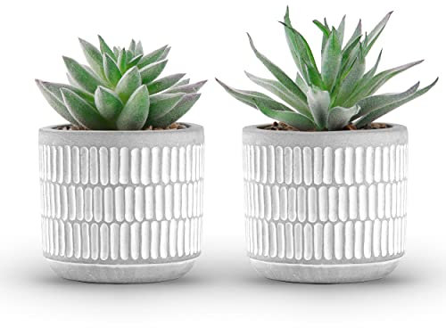 Der Rose Juego de 2 plantas suculentas artificiales para sala de estar, baño, dormitorio, decoración estética del hogar y la cocina