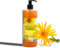 Gel de Árnica FORTE Concentrada 100% | Extracto de Arnica Ecológica | Masaje Muscular y Articular | Hidratación de la Piel | Confort en Piernas y Pies 500 g
