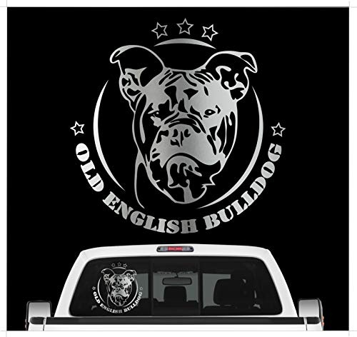 siviwonder Auto Aufkleber Old English Bulldog Kopf Bully Hund OEB Wilsigns Hundeaufkleber autoaufkleber Hund Folie Hundemotiv (Silber)