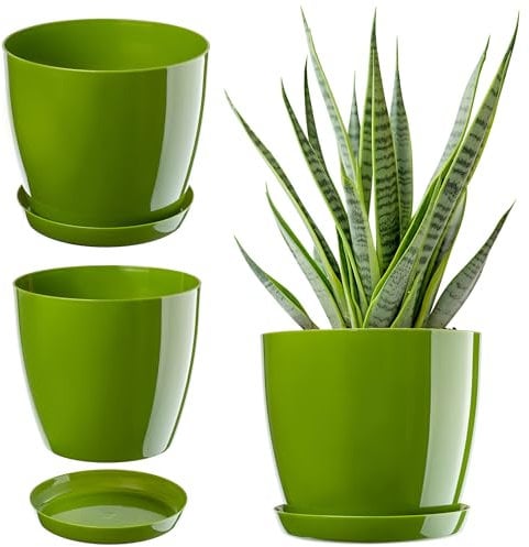 Kadax Flowerpot, fioriera con sottobicchieri, secchio di fiori rotondi per all'interno, elegante pentola di piante fatta di plastica, fioriera per fiori, piante, casa, (Ř 20 cm, verde)