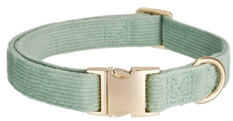 YUDOTE Ultraweiches Hundehalsband natürliche Baumwolle Cord für Kleine Hunde mit empfindlicher Haut,SalbeiGrün