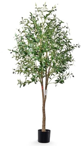 Leflos 180 cm Olivo artificiale, Alberi artificiali solo per uso interno, con tronco vivo, rami regolabili e olive turgide, 1 pezzo