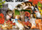 Puzzle für Erwachsene 1000 Teile Katzen im Garten 70 x 50 cm Puzzles für Erwachsene Pädagogisches Spiel Herausforderung Spielzeug 1000 Teile Puzzles für Erwachsene Kinder