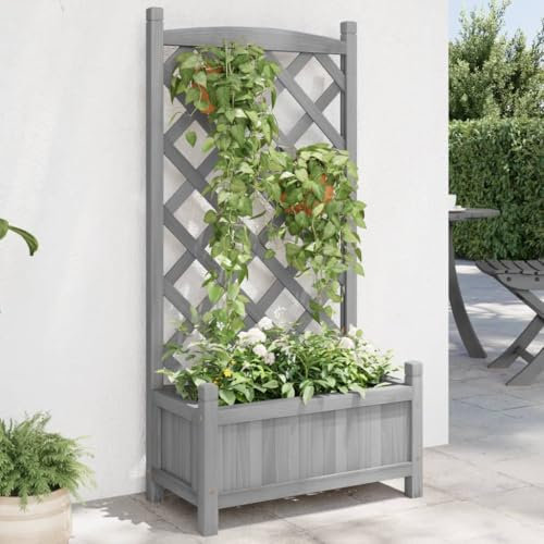 Generisch Jiangboyue-365486 Jardinière en bois massif avec treillis Gris