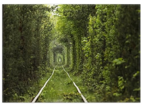 Wallario Rutschfester, Teppich mit Motiv - Fußmatte Verwunschener Tunnel aus Bäumen, Größe 50 x 70 cm - flachgewebt