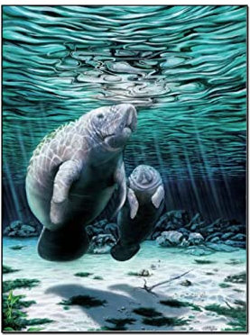 QITEX Bilder auf Leinwand Abstrakte Meerjungfrau Poster Kristall River Manatee Poster Dekorative Bild Leinwand Wand Bilder Wohnzimmer Poster Schlafzimmer Gemälde 40x60cm(Kein Rahmen)