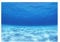 RunXF Pure and Clear Seabed,Beautiful Aquarium Background Poster,Adhesive PVC Decoration Picture for Fish Tank,60 x 40cm