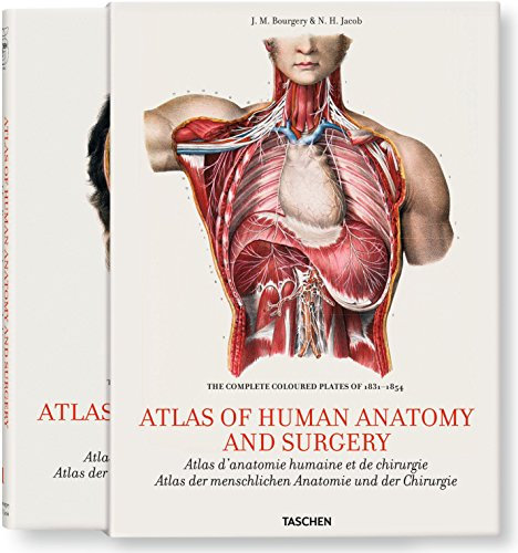 Bourgery. Atlas of Human Anatomy and Surgery by Jean-Marie Le Minor (30-Apr-2012) Hardcover