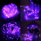 XUNATA LED Solar Lichterschlauch 10M 100 LEDs Lichter IP65 Wasserdicht Schlauchlicht Lichtschlauch für Garten, Weihnachten, Hochzeit, Party (Lila, 10m (100LEDs) + 2m lead cable)