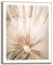 REINDERS Gerahmtes Bild, Pusteblume, Home Office, Bilder, Wanddeko, Room Decor, MDF, Beige, 50x40cm