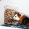 Hamsters Feeder Small Animals Automatic Dispenser Gravity Auto Dispensers Pet Pellets Food Storage Bowl - Dwarf Hamster Gerbils Mice Hedgehog Guinea Pig and Other Small Animal Ideal Feeding Station