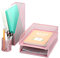 EXERZ Desk Organiser 4pcs/ Office Supplies/Desktop Metal Mesh Filing Accessories including: A4 Stackable Letter Trays x 2, Magazine Holder x 1, Pen Holder x 1 (Light Pink)