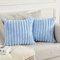 Joyouth 2er Set Doppelseitige Plüsch Samt Kissenbezüge Weiche Künstliche Pelz Kissenbezüge Dekorativ für Couch Sofa Schlafzimmer Wohnzimmer Zuhause 40x40 cm Blau