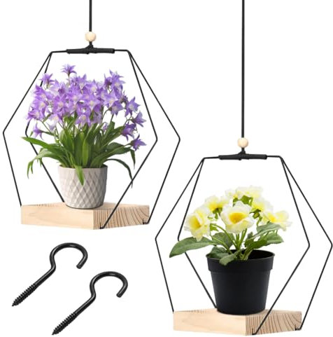 Blumenampel Hängend Innen, Metall Blumenampel Schwarz, Blumentopf Hängend mit Holzsockel, Decke Hängende Pflanzer, Hängetopf für Pflanzen, Hängeampel für Zimmerpflanzen Sukkulenten Luftpflanzen, 2PCS