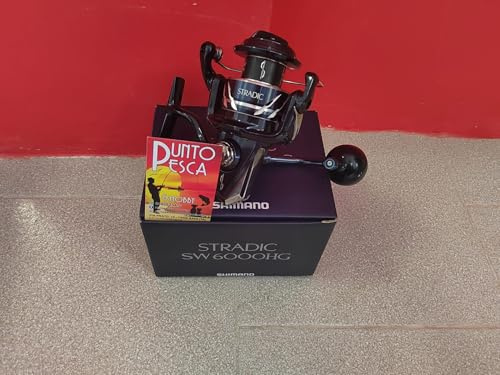 SHIMANO Stradic SW B 6000 HG, Angelrolle