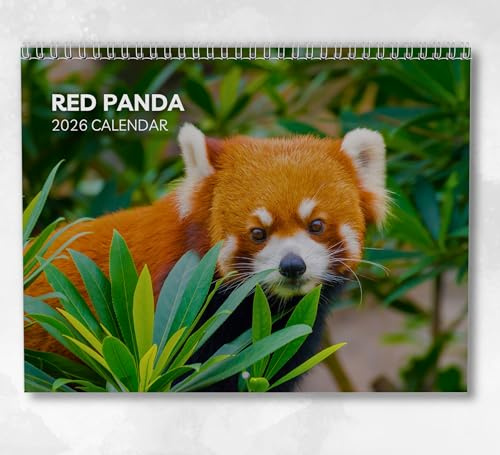 Red Panda Kalender 2026 Monatlicher Wandkalender mit Notizen, hängend A4, inklusive Schlüsseldaten & Feiertagen