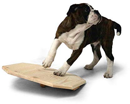 SAUERLAND Holz-Wackelbrett für Welpen ca. L 40 x B 40 x H 10 cm, Hundespielzeug