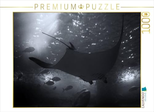 CALVENDO Puzzle Riesenmanta | 1000 Teile Lege-Größe 64 x 48 cm Foto-Puzzle für glückliche Stunden