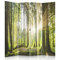 Feeby Paravent Wald Baum Sonne 145x180 cm 4 teilig Modern Design Einseitig Raumteiler Wandschirme Foto Trennwand Raumtrenner Sichtschutz Spanische Wand auf Leinwand Bedruckt Natur Landschaft Grün
