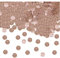 Big Party Coriandoli in plastica 1 cm Tondi 20 gr Rose Gold Glitter